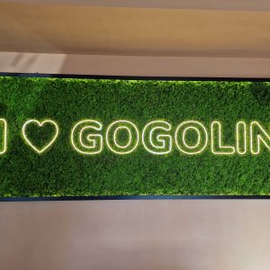 Podświetlana reklama z mchu